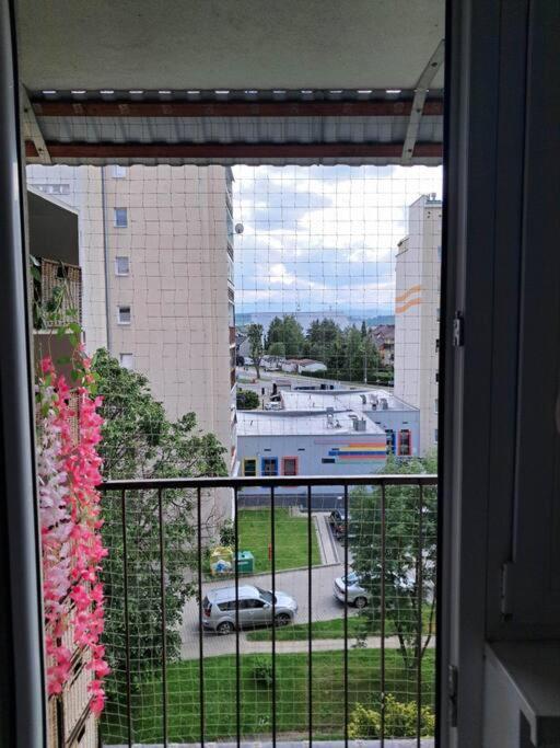 Apartament Na 4 Pietrze ノヴィ・タルク エクステリア 写真