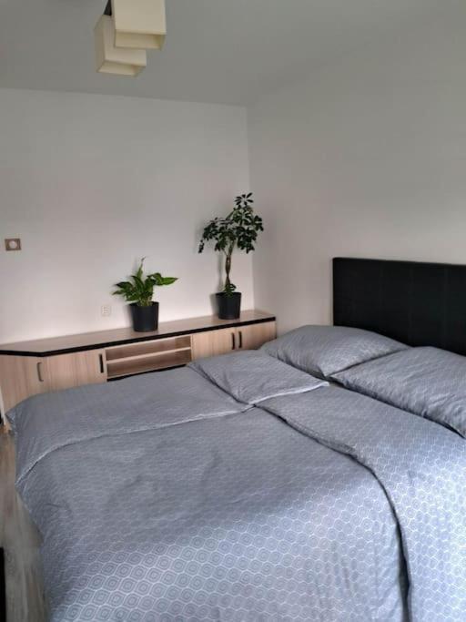 Apartament Na 4 Pietrze ノヴィ・タルク エクステリア 写真